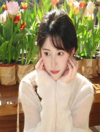 2026暑期档《镜花风月之西施泪》：市场表现权威分析